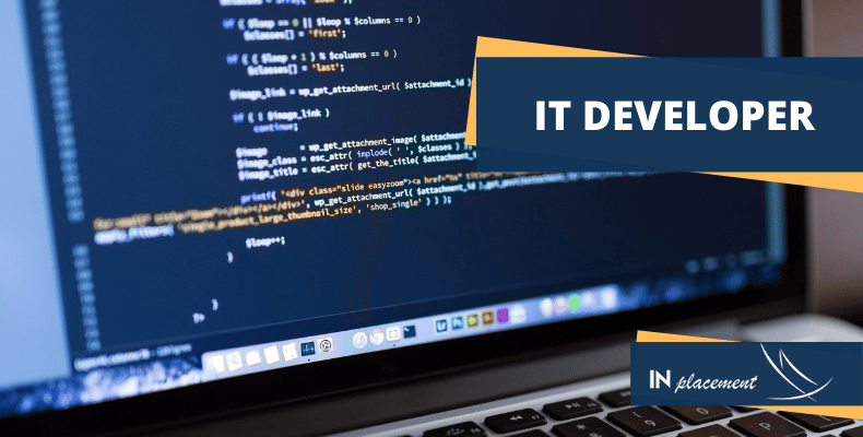 IT DEVELOPER