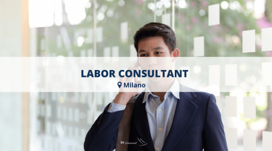 LABOR CONSULTANT