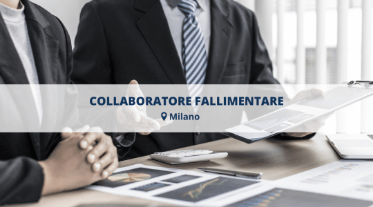 CREDIT-CONTROLLER-LISCATE