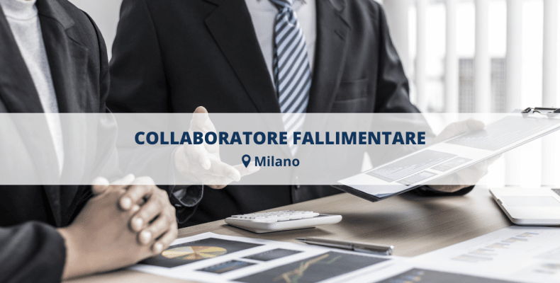 CREDIT-CONTROLLER-LISCATE