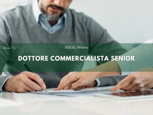 Commercialista Varese