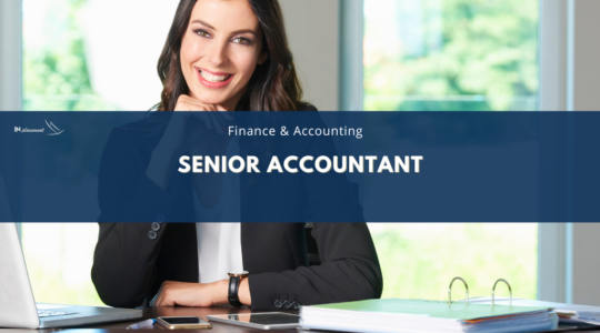 SENIOR ACCOUNTANT AC1303